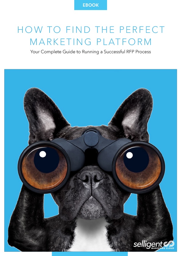 Image featuring the words "How to Find the Perfect Marketing Platform", and a black and white Boston Terrier looking through a pair of binoculars in front of a teal blue background