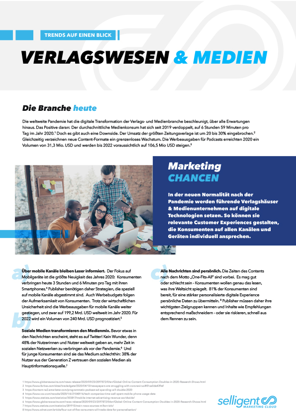 Thumbnail-Bild Selligent Trendreport „Trends auf einen Blick: Medien & Verlagswesen | Die Branche heute
